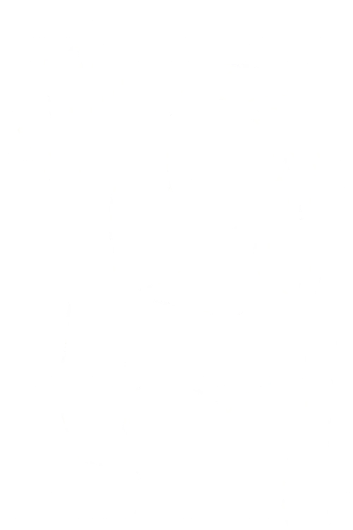 Guideline: back of the hand facing the camera, wrist centered